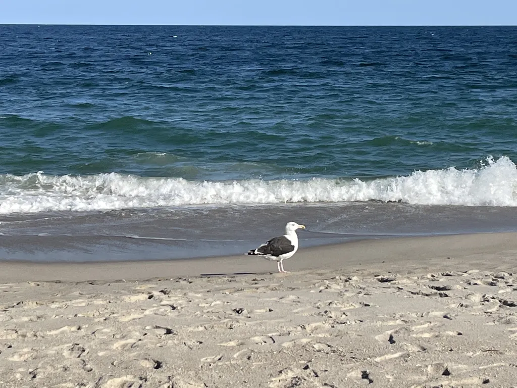 Beautiful Point Pleasant Beach