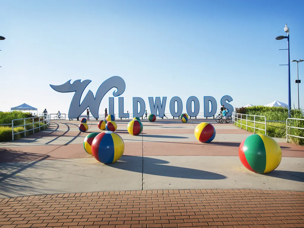 Welcome to the WILDWOODS