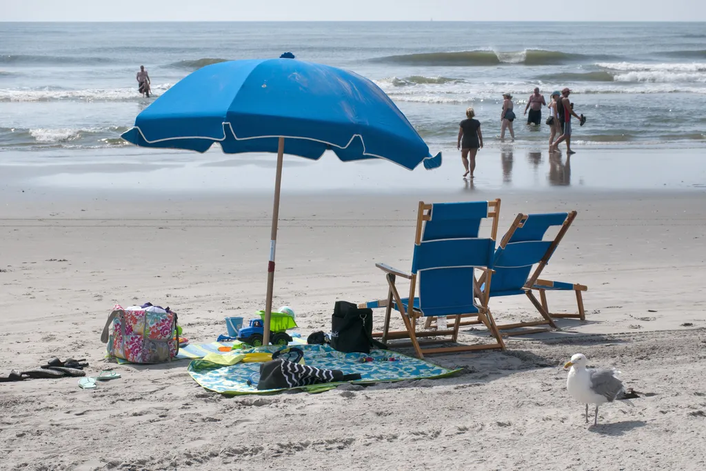 A Day at The Beach