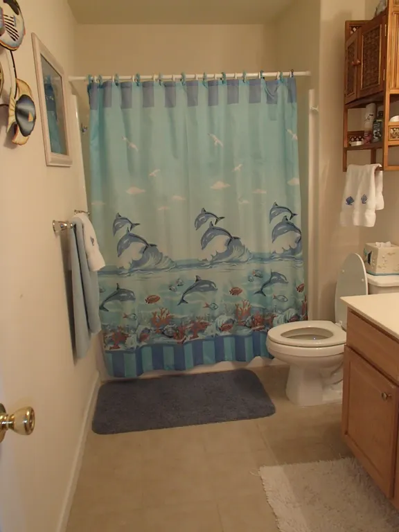 Hall bathroom