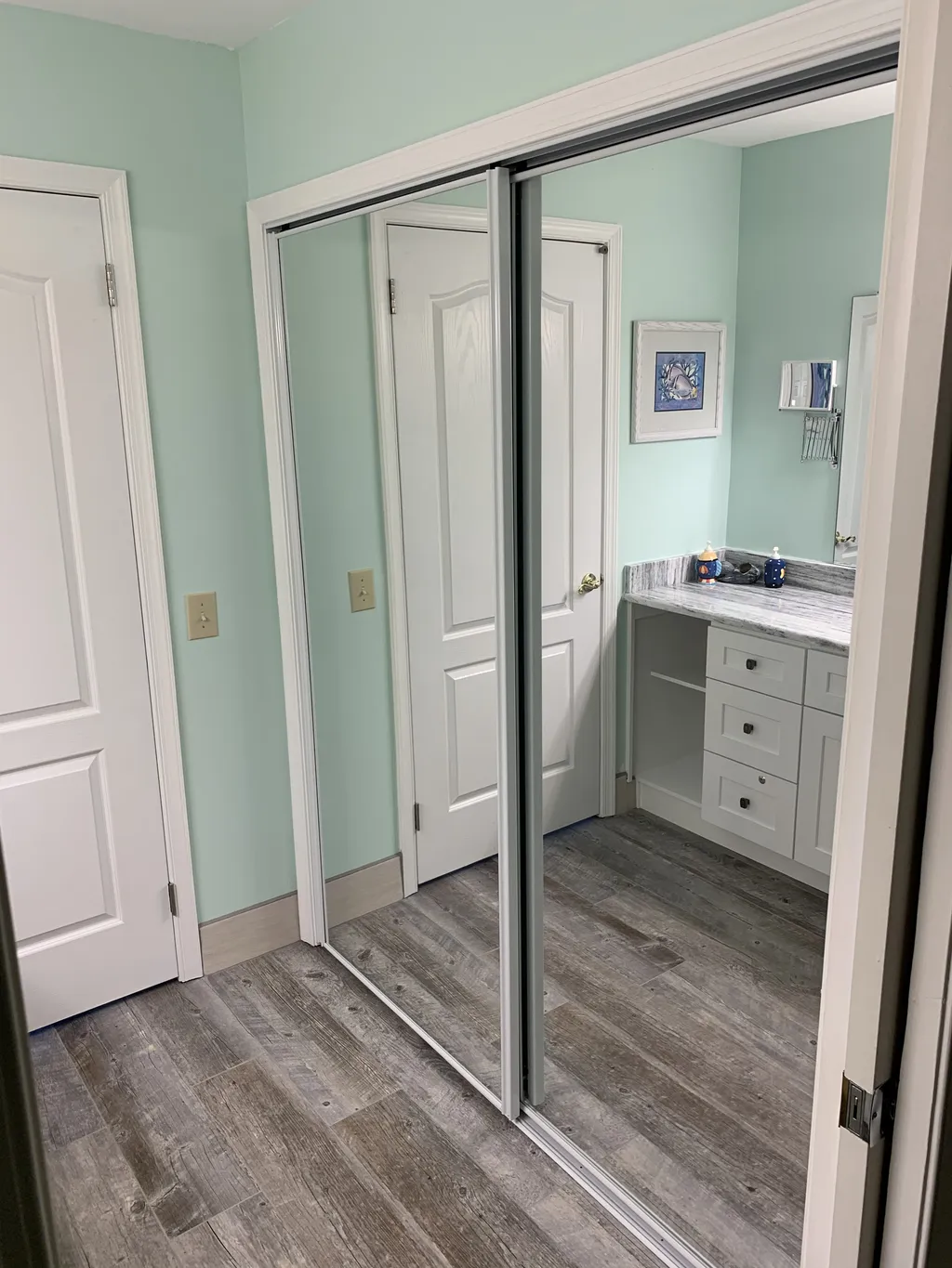 Master Dressing Area Mirrored Closet