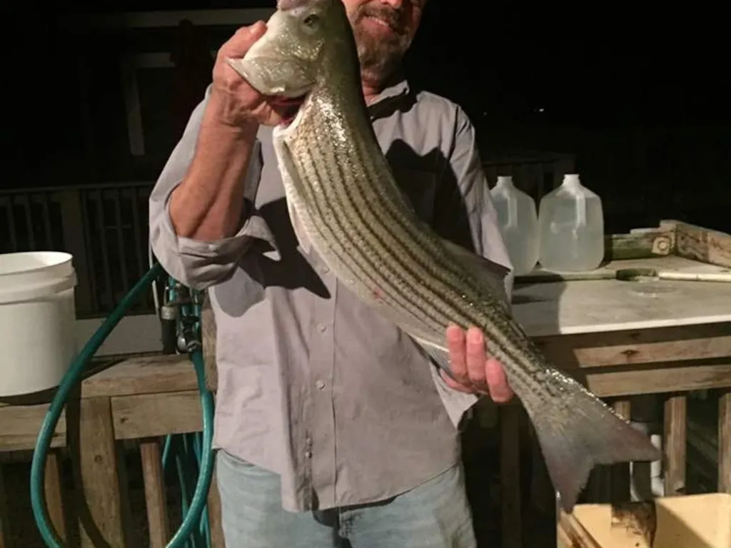 Fishing off deck 