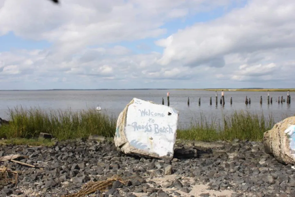 Welcome to Reeds Beach -up the road at Marina 