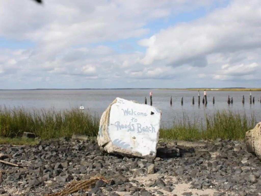 Welcome to Reeds Beach -up the road at Marina 