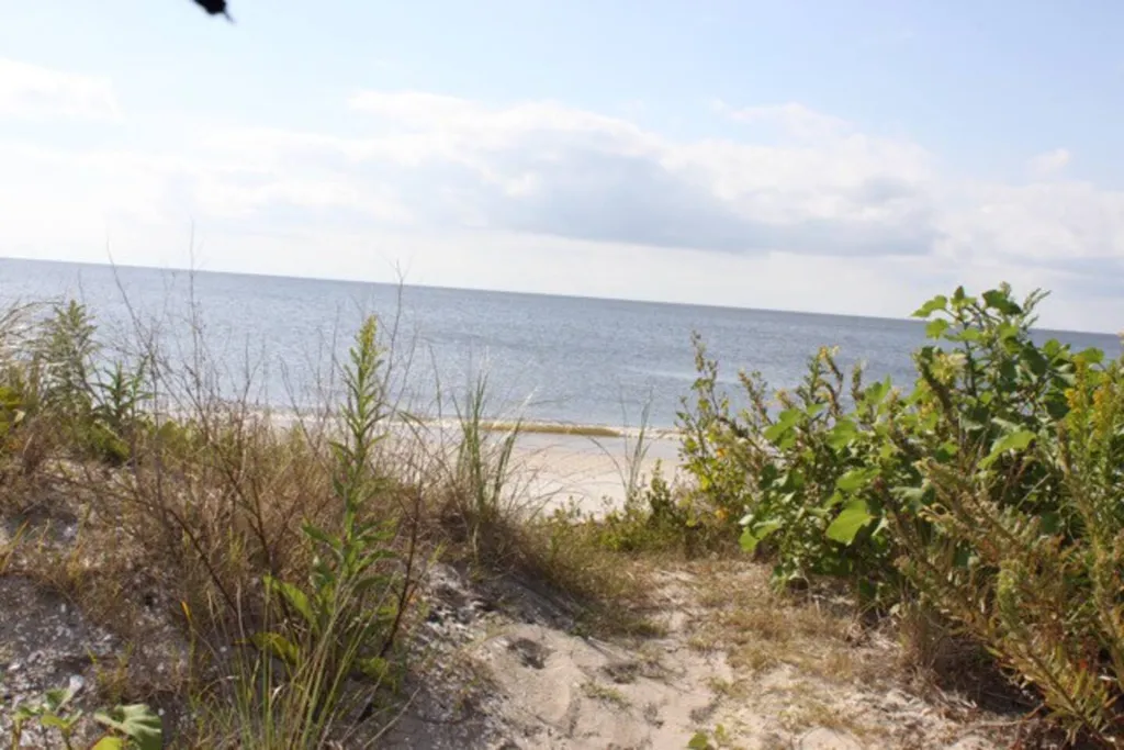 reeds beach view from street 