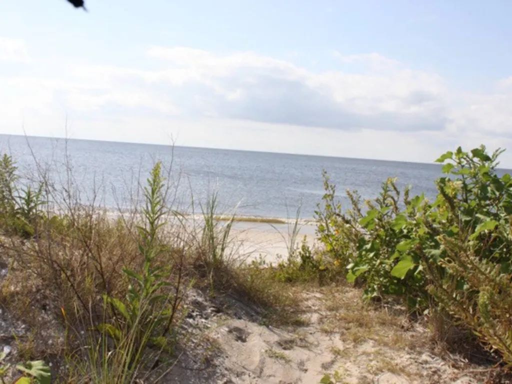 reeds beach view from street 