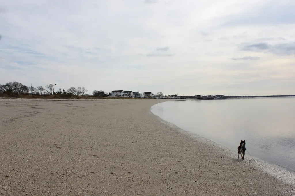reeds Beach 