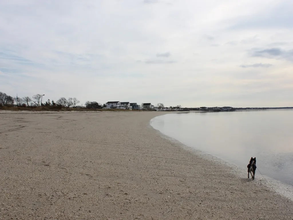 reeds Beach 