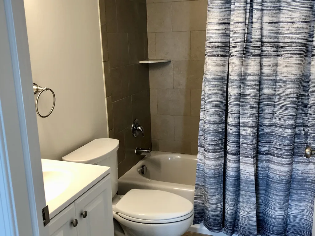 Hall bathroom