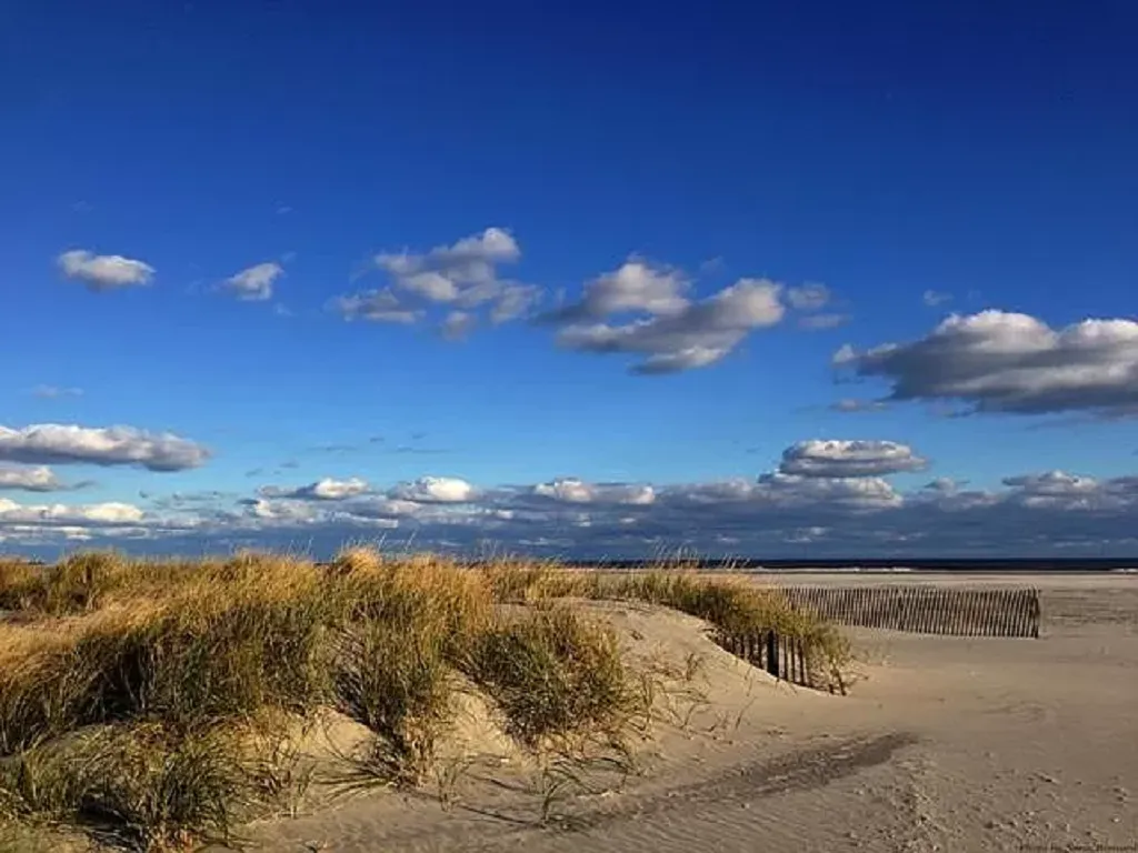 Beaches near by