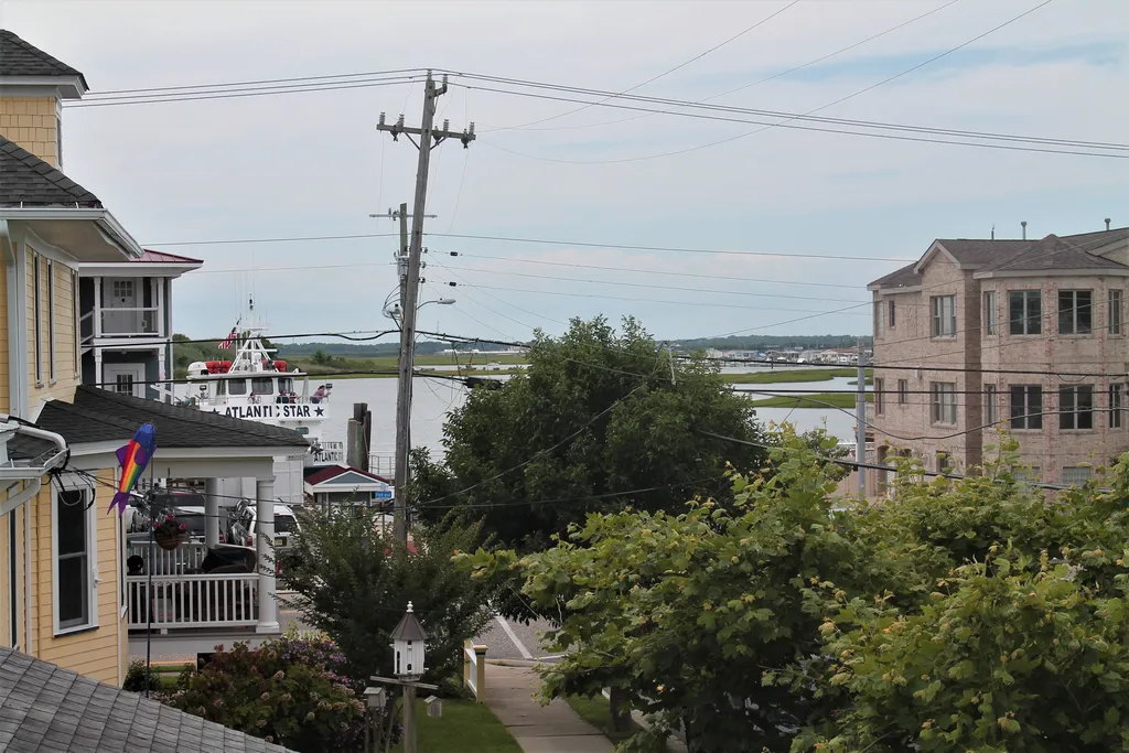 Bay views with whale watching ships