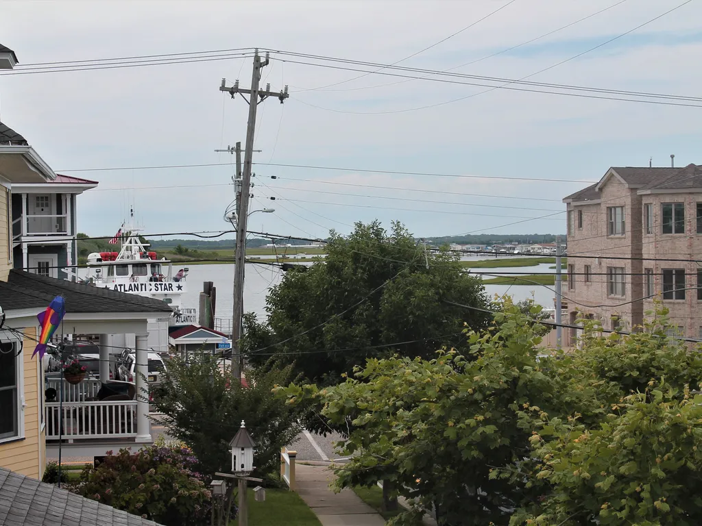 Bay views with whale watching ships