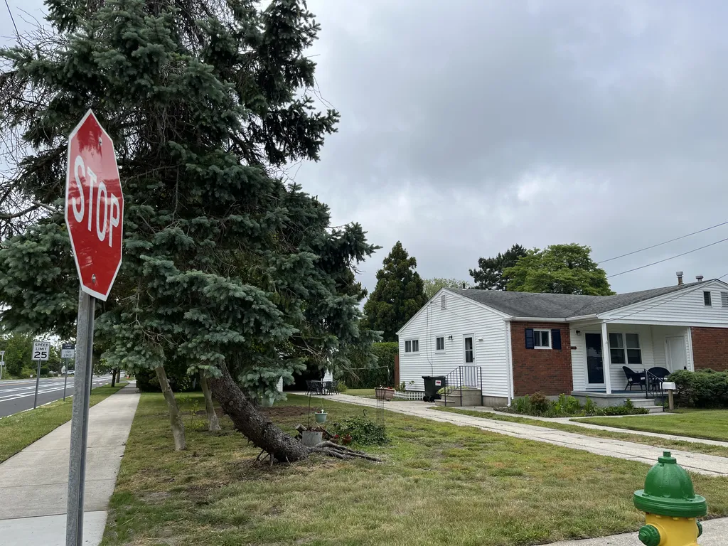 Large corner property