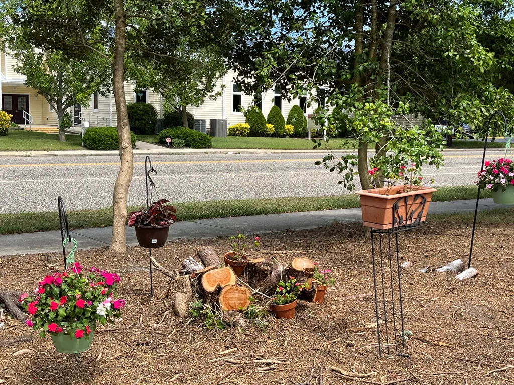Part of the side yard