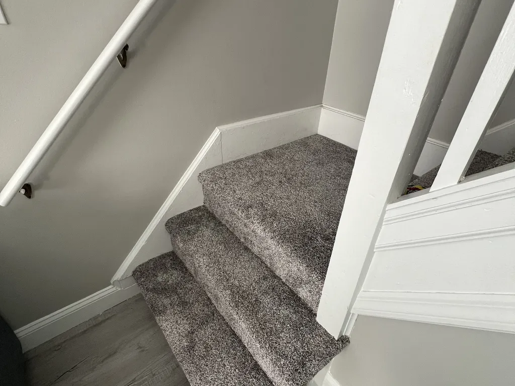 Steps with new rug