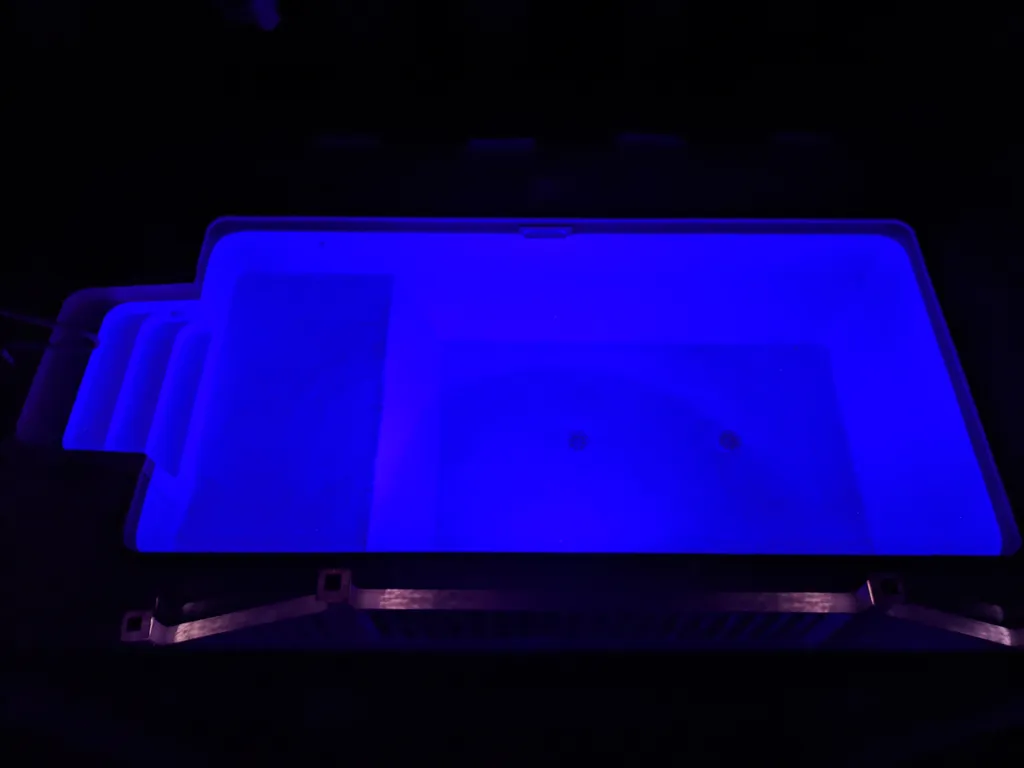 Night swims