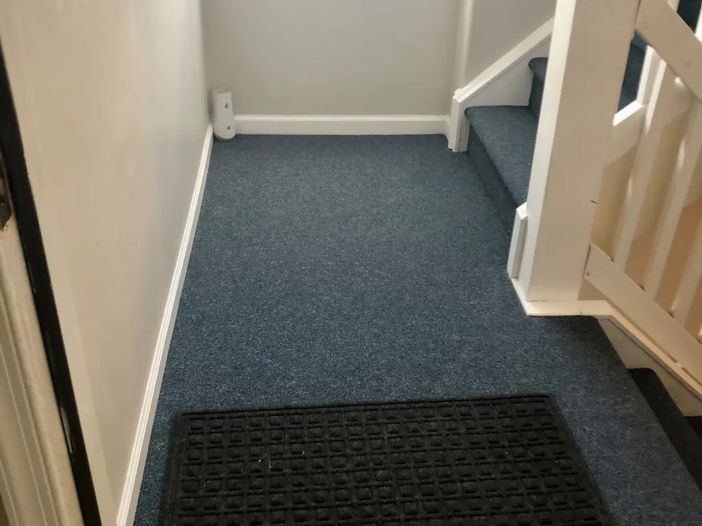 Entrance from unit - new carpet and paint