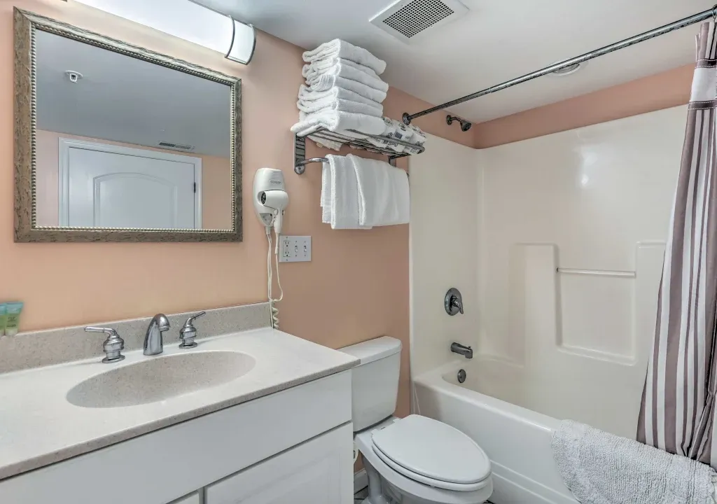 Bathroom | Hair Dryer