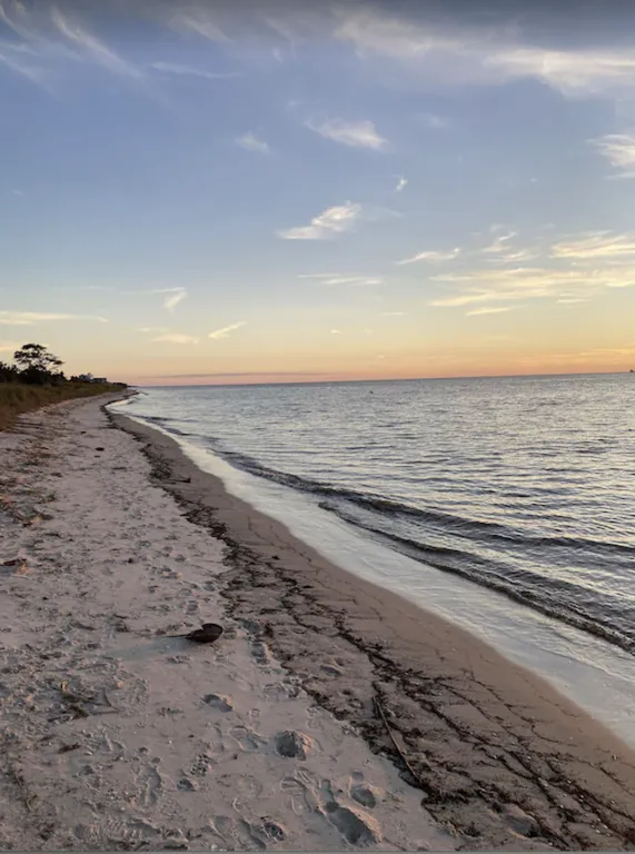 The Bay Beach