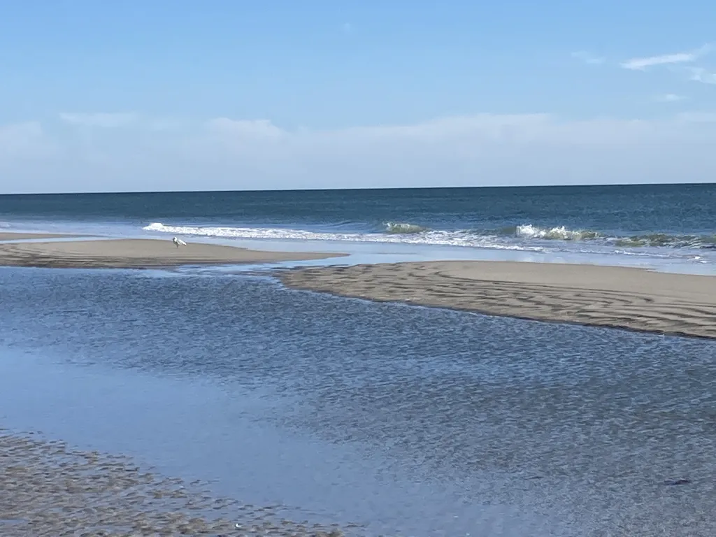 20th Ave beach