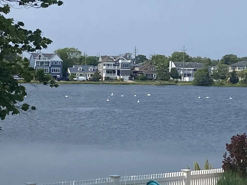 Back yard lake view