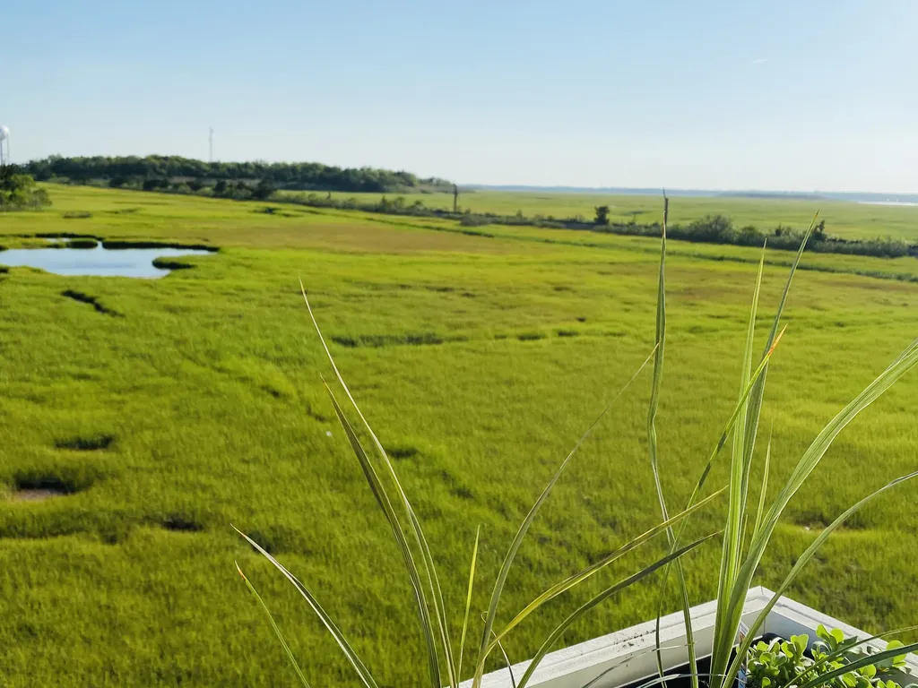 No neighbors to the left allow for wildlife watching, amazing sunsets and a little more privacy 