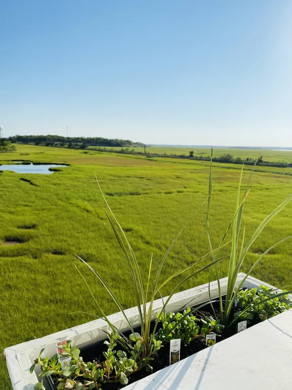 No neighbors to the left allow for wildlife watching, amazing sunsets and a little more privacy 