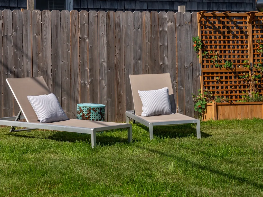 Large grassy backyard area