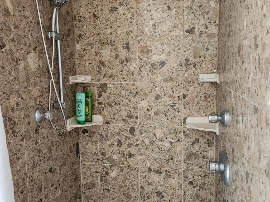 Master shower