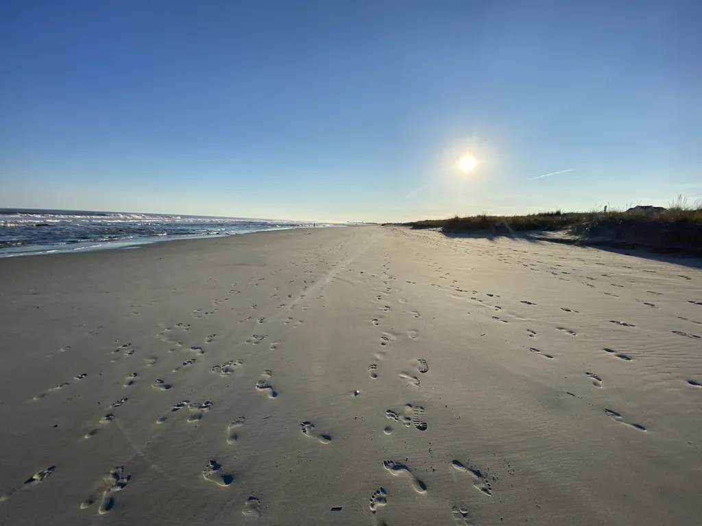 Fall walks on the beach