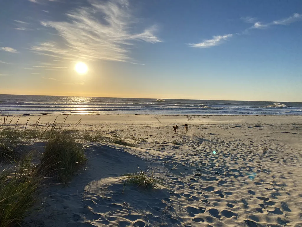 Our beautiful SIC beaches!!
