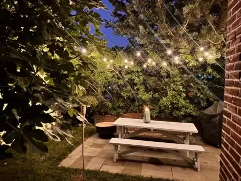 nights under the stars