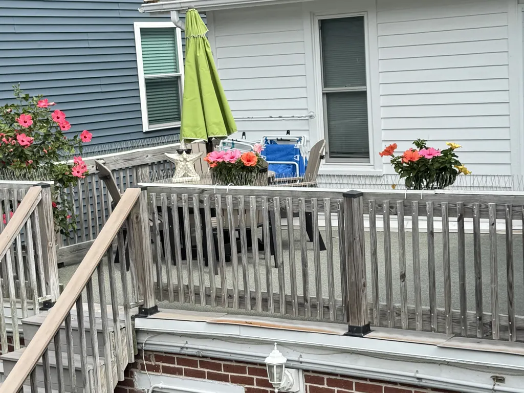 Back deck