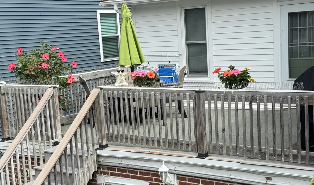Back deck