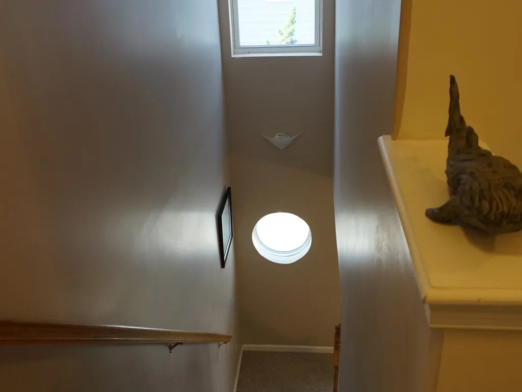 Stairs inside unit. 