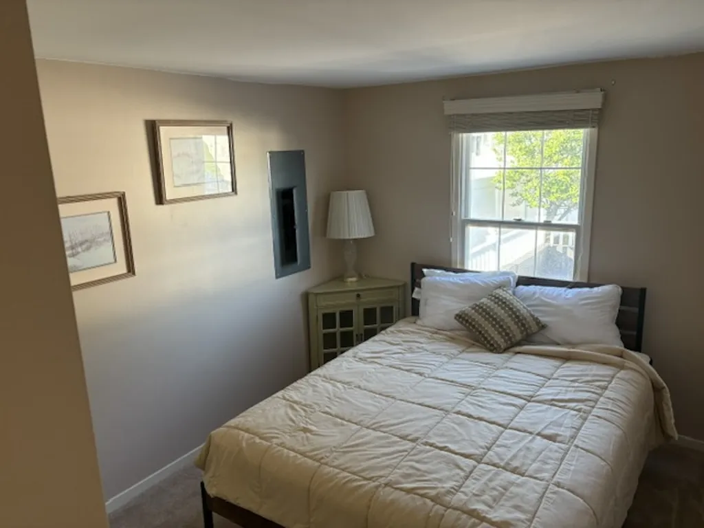 Downstairs Queen Bed