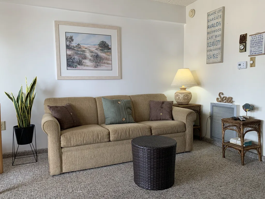 Living room with queen sleeper sofa