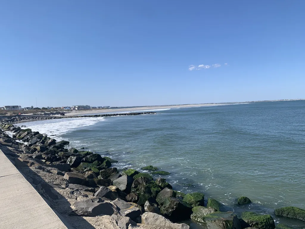 Walk the Seawall 