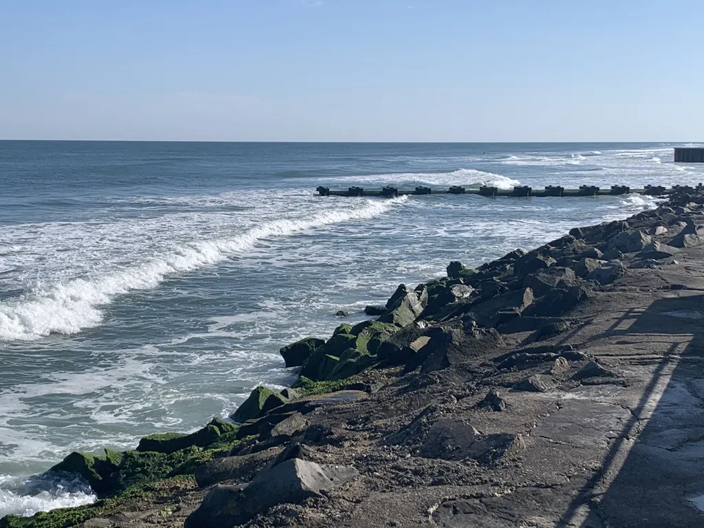 Walk the Seawall 