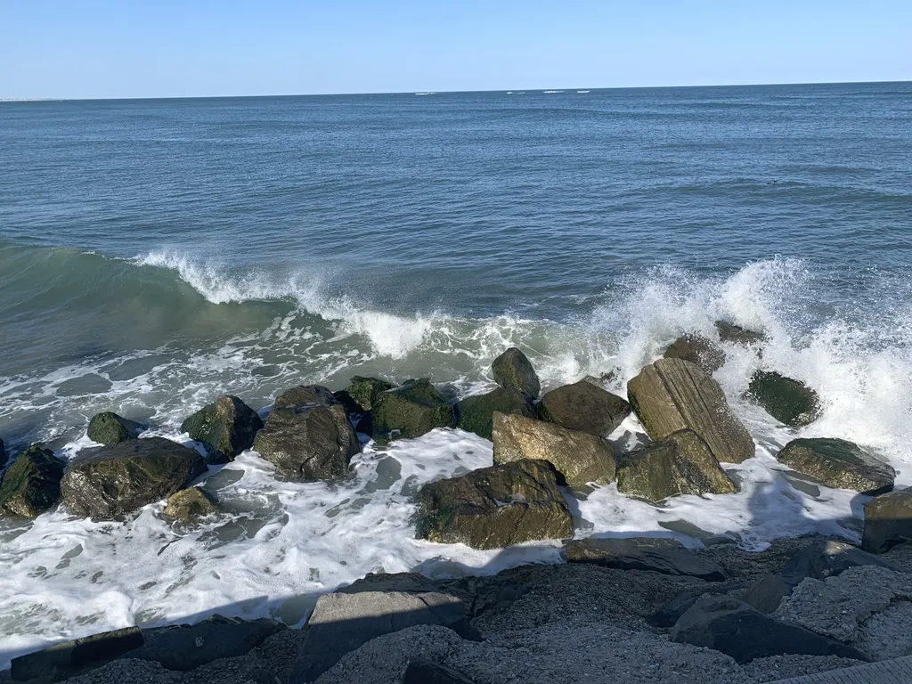 Walk the Seawall 