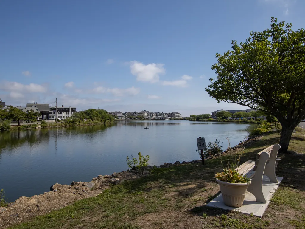 lake across with street 