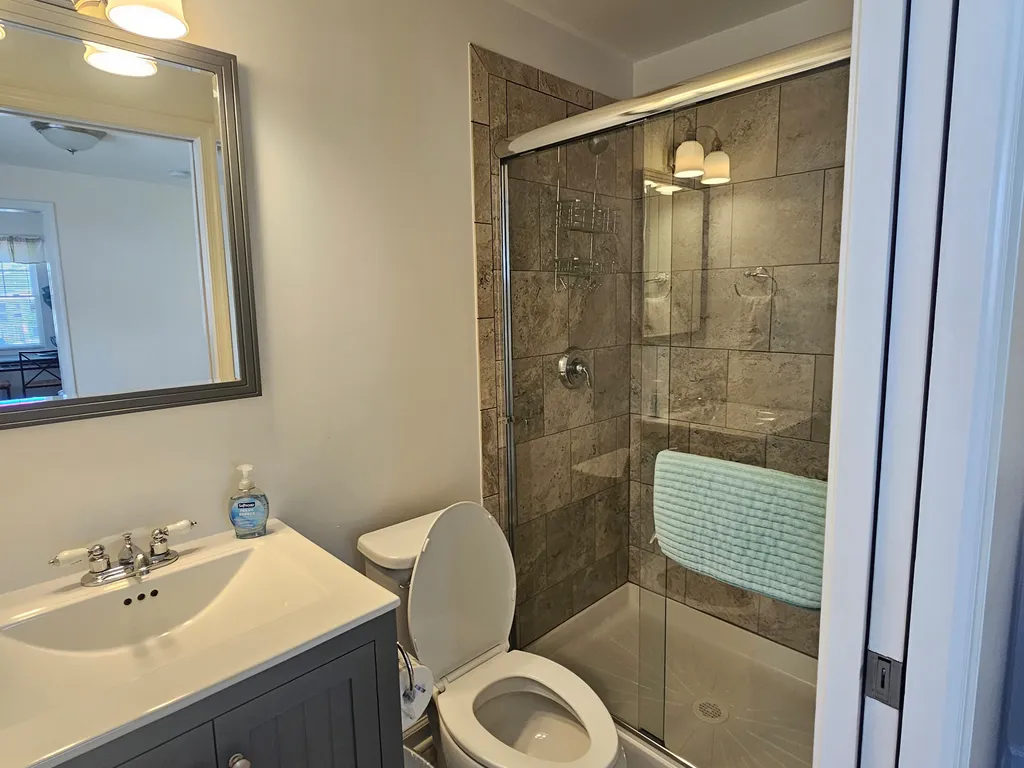 1st Floor bathroom (through bedroom)