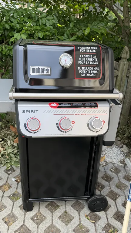 Propane bbq grill