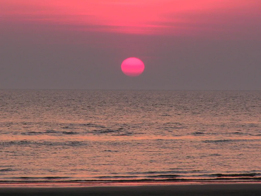 summer sunset