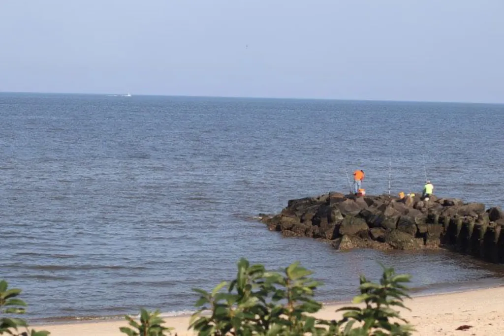 Fishing on the pier