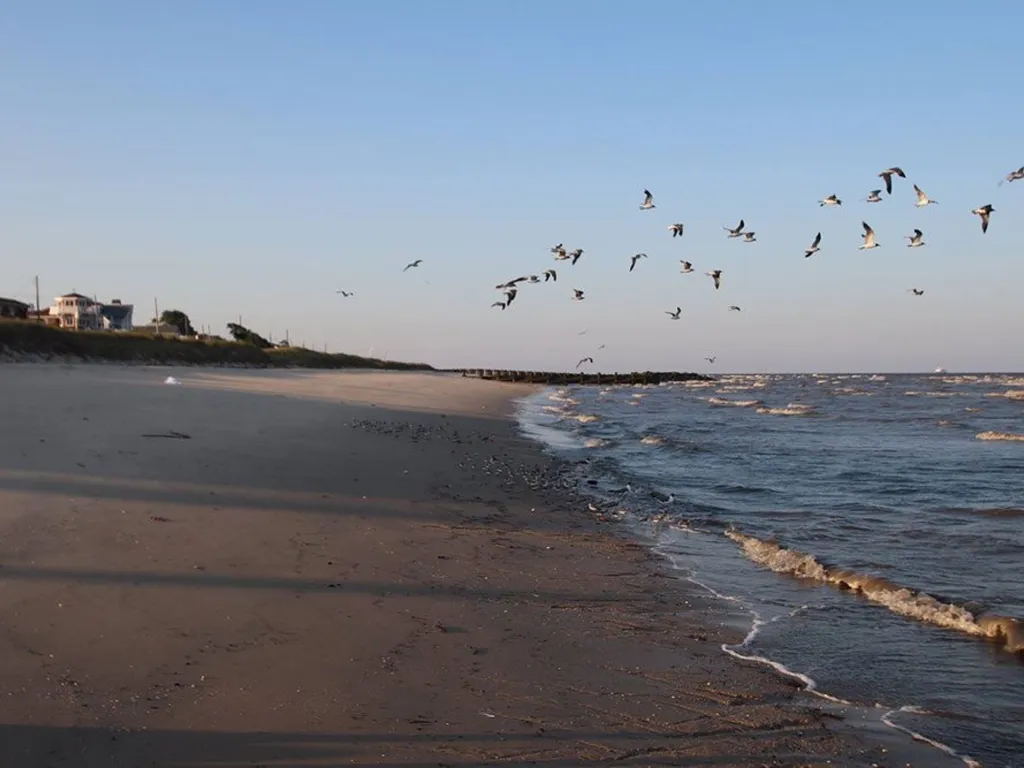 Beautiful free beach just down the street
