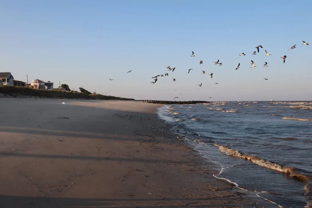 Beautiful free beach just down the street