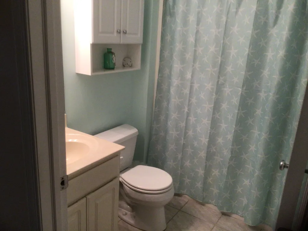 Hall bathroom.