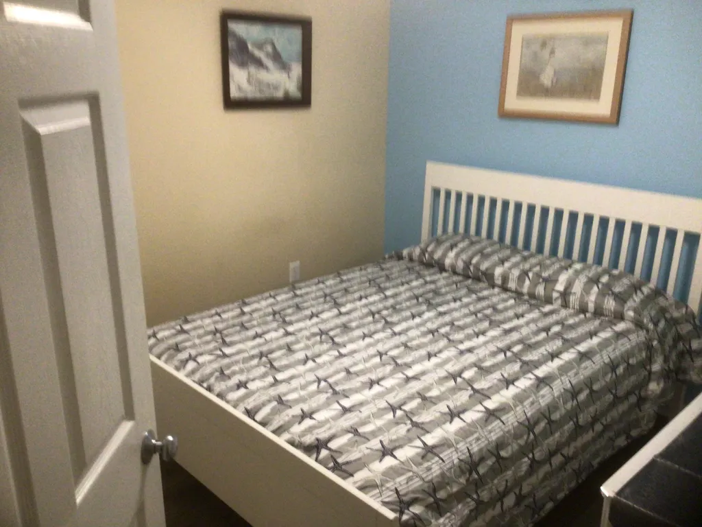 3rd bedroom with a queen bed. Dresser and closet.