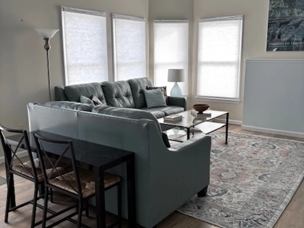 Comfortable family room